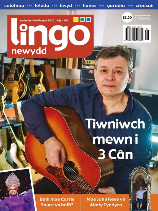 Cover image for Lingo Newydd